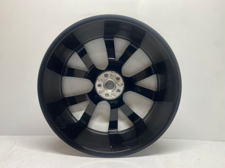 T4A17664