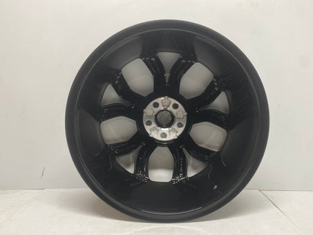 LR064196